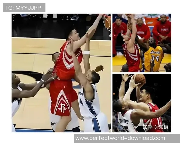 姚明跟腱长的秘密揭秘及其对篮球运动员职业生涯的影响分析