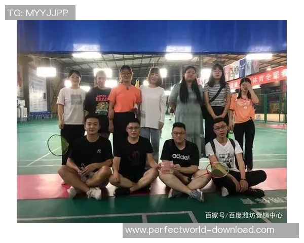 羽毛球团队协作排行榜揭晓上海队表现卓越名列第一