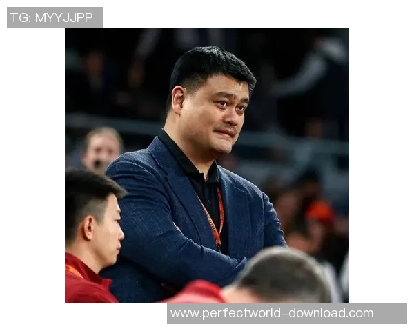 观众看到姚明的瞬间感动与篮球传奇交织的美好时刻